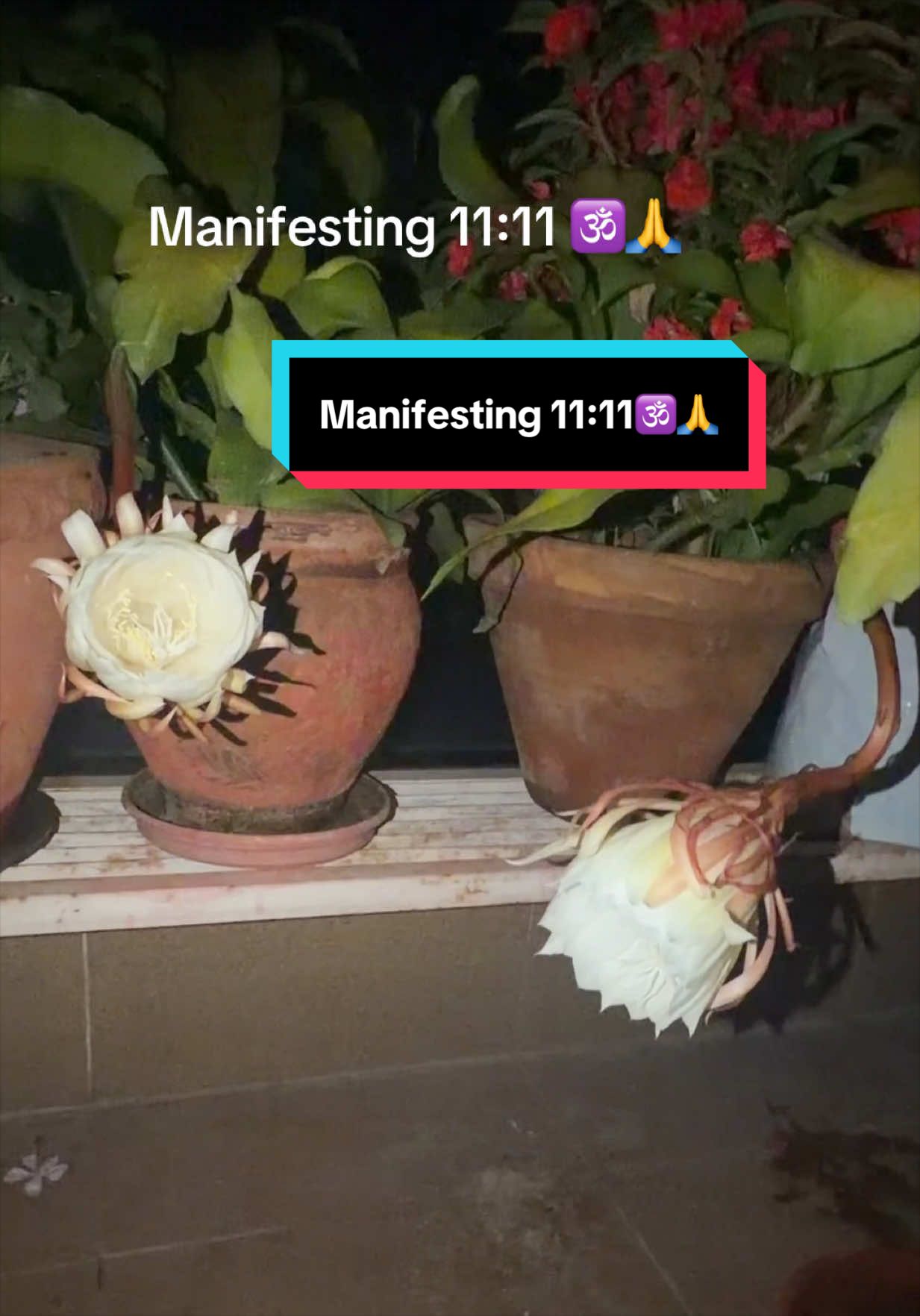 @Anushka🧿🪬