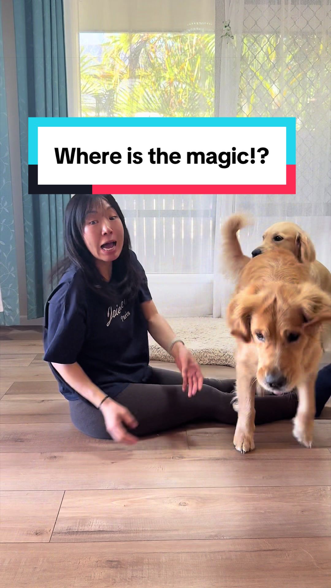 @3goldenretriever
