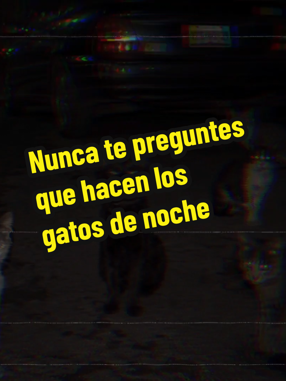 @El diario de coraje