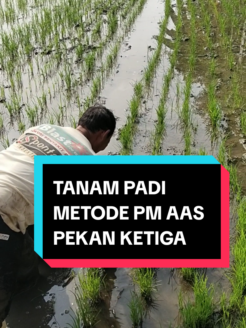 @PPL KOTAMAKMUR