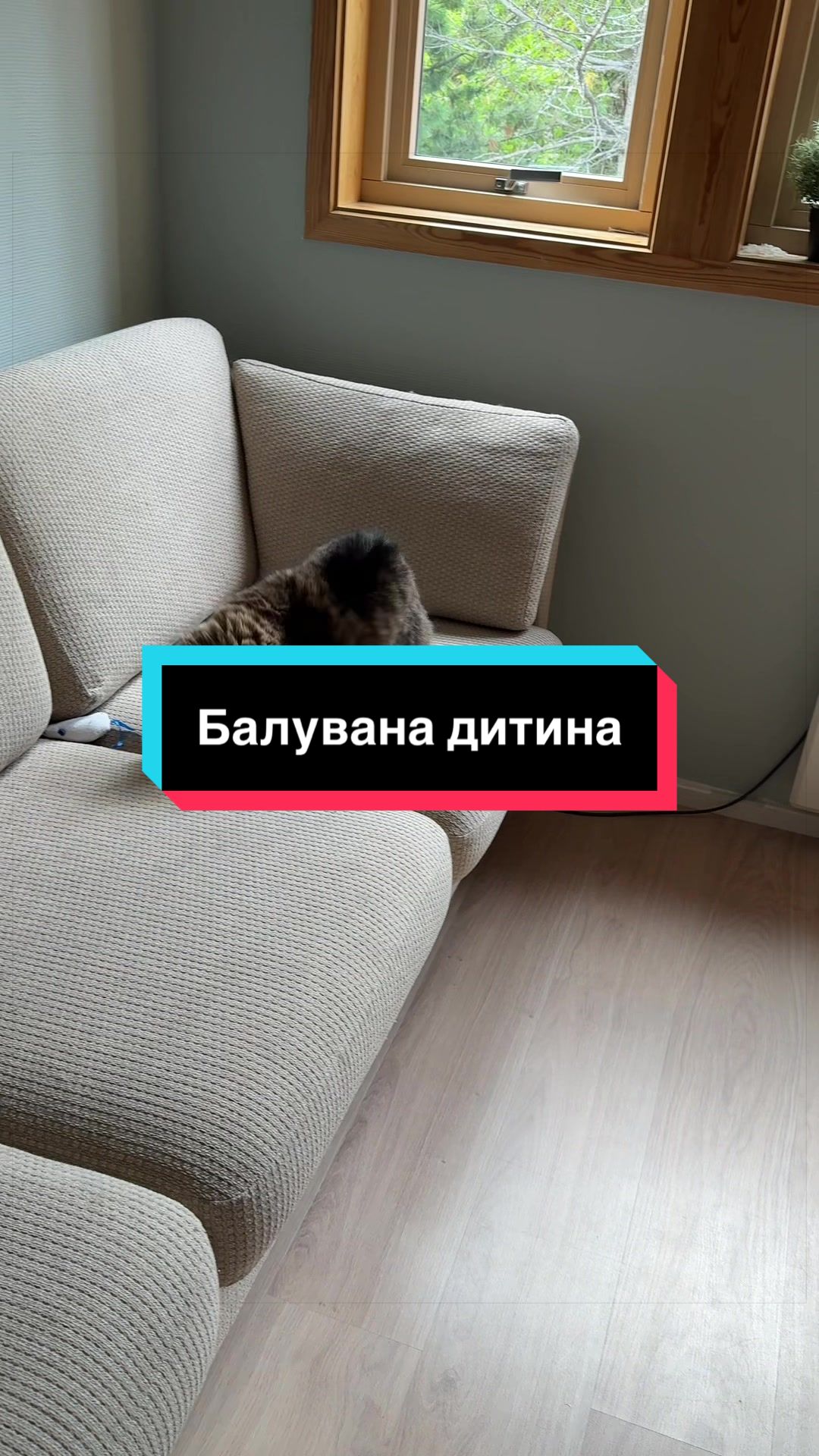 @humortiktokua