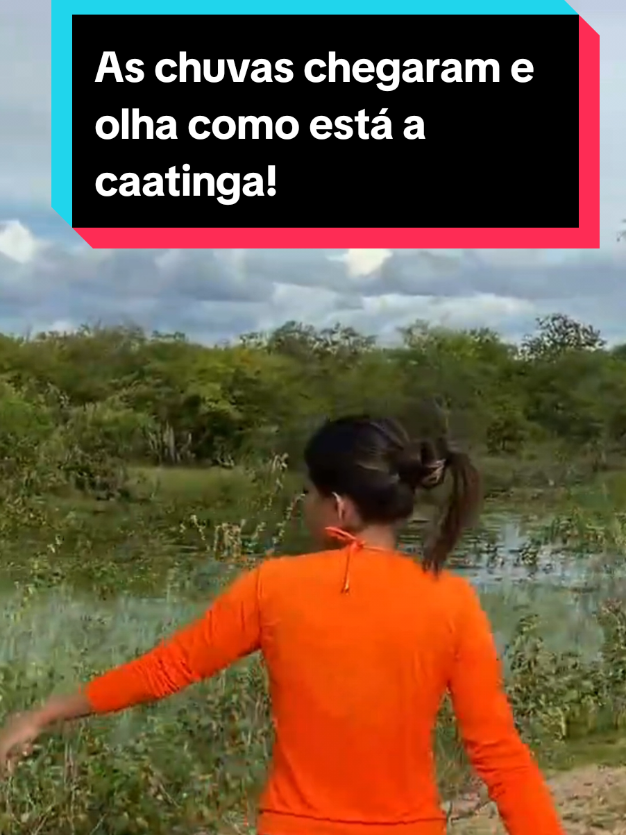 @Princesa das Serpentes