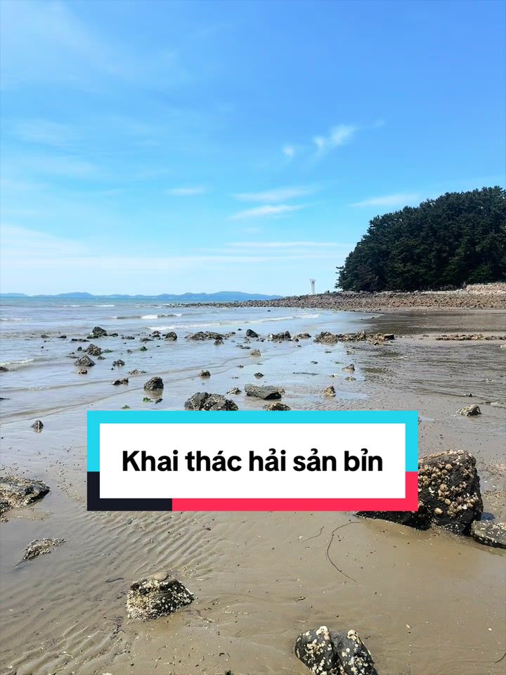 @Như _ HayĐi