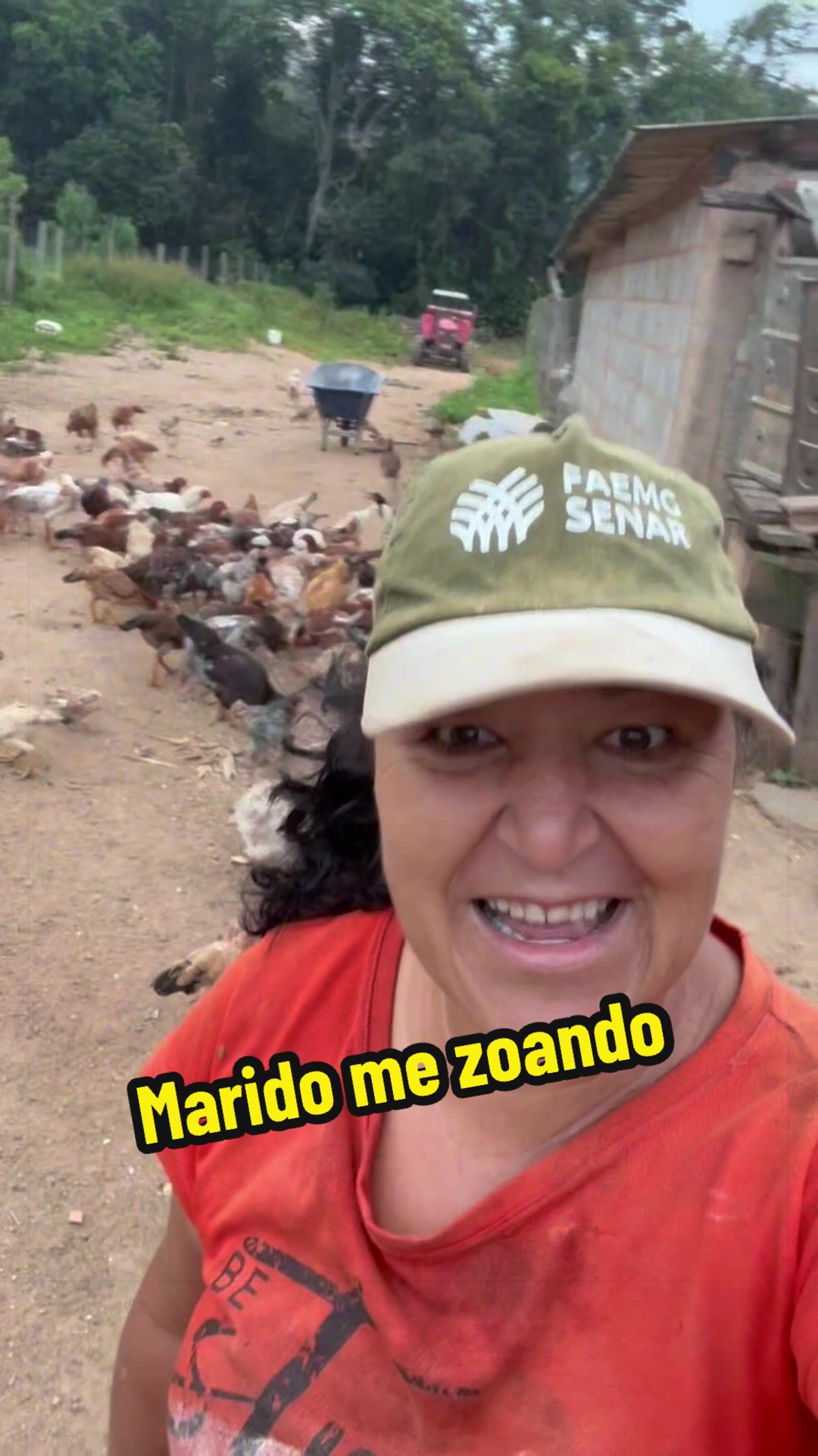 @Silvana Franco /vida na roça