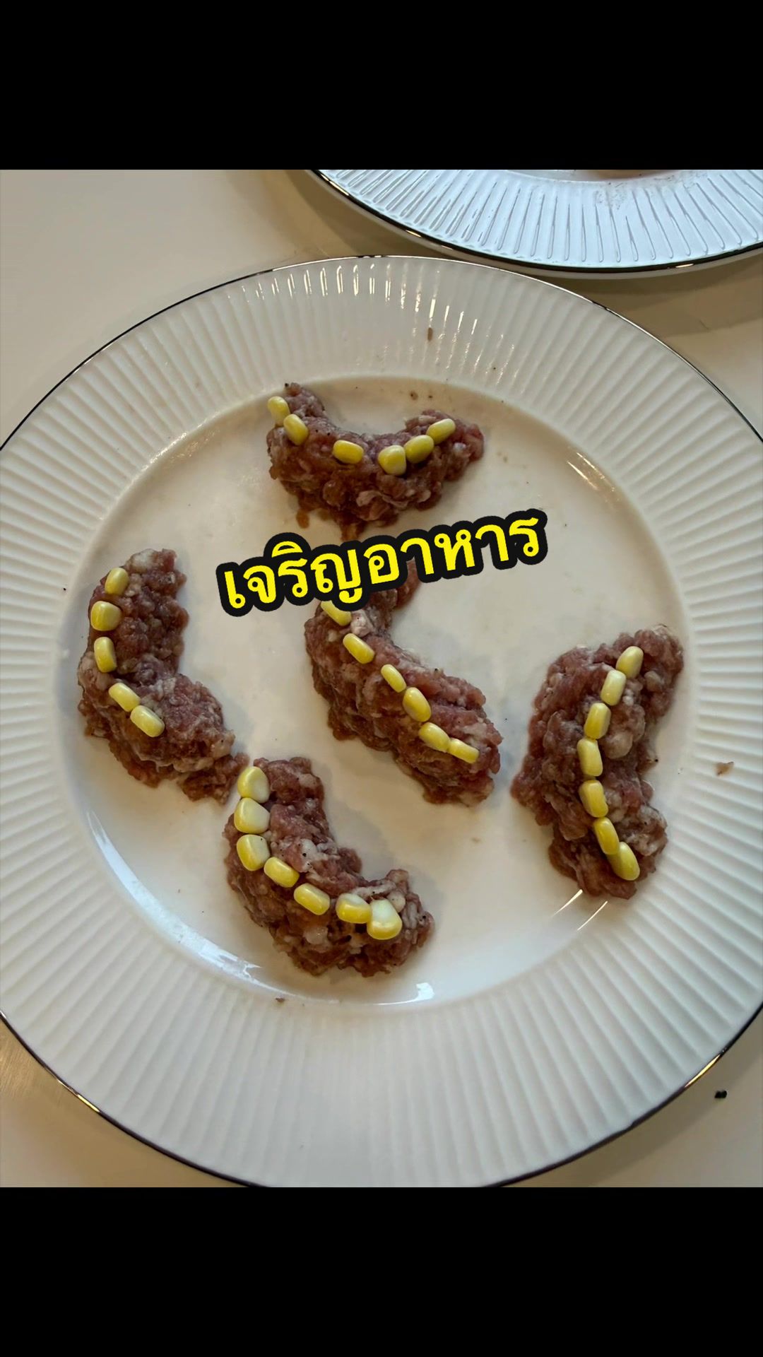 @GRACE แกรม 1964