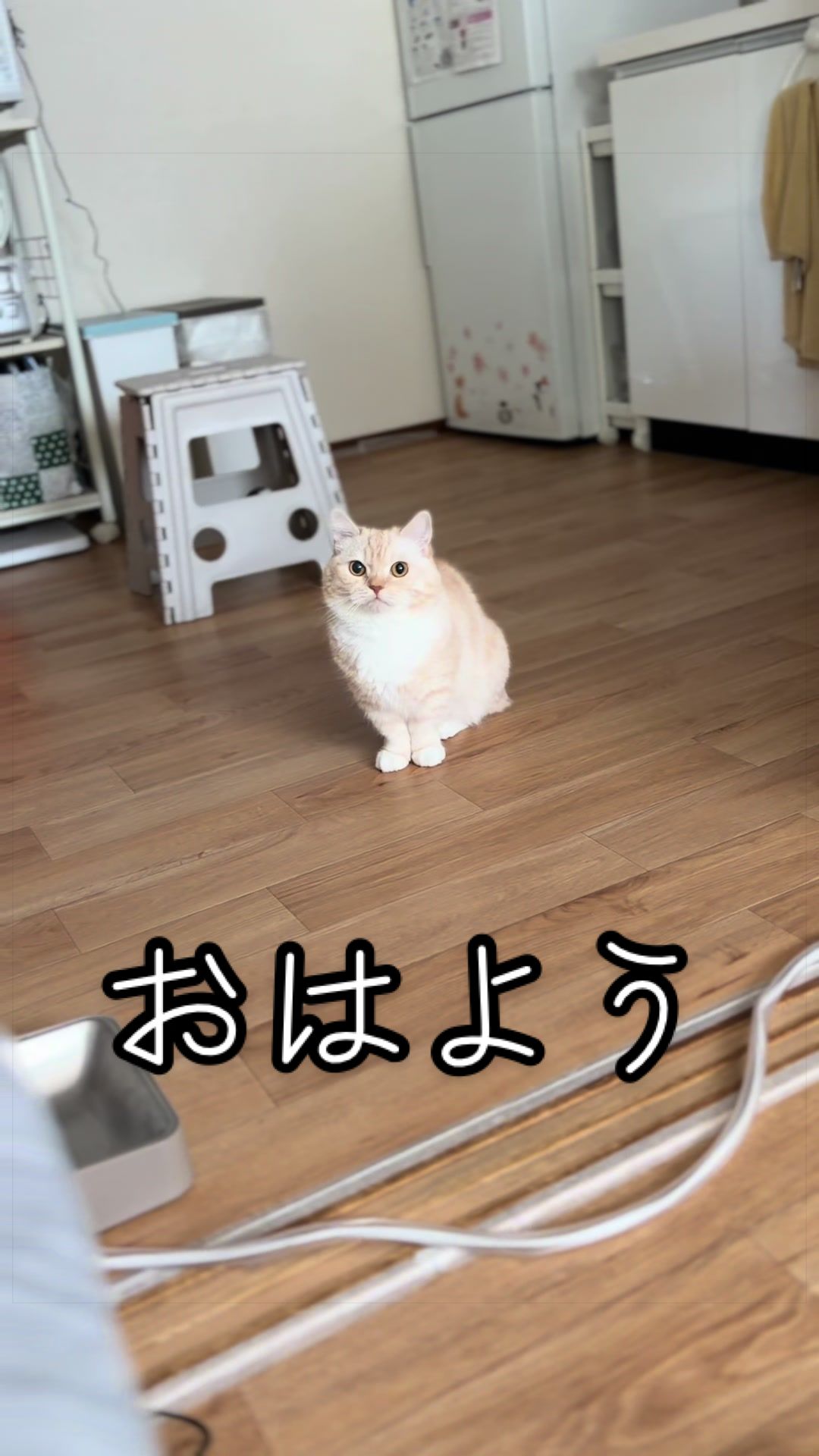 @縫くんと私
