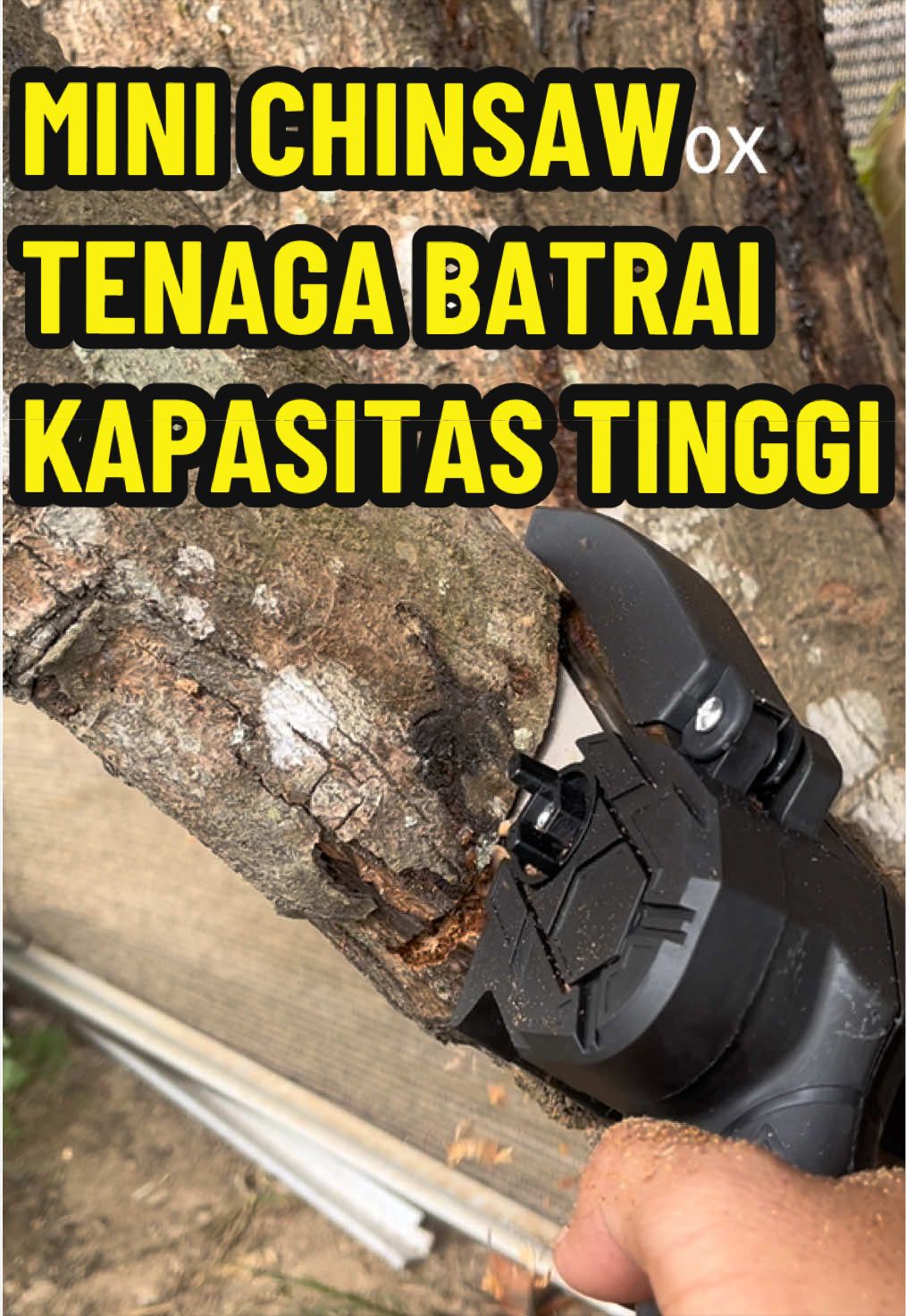 @papamuda