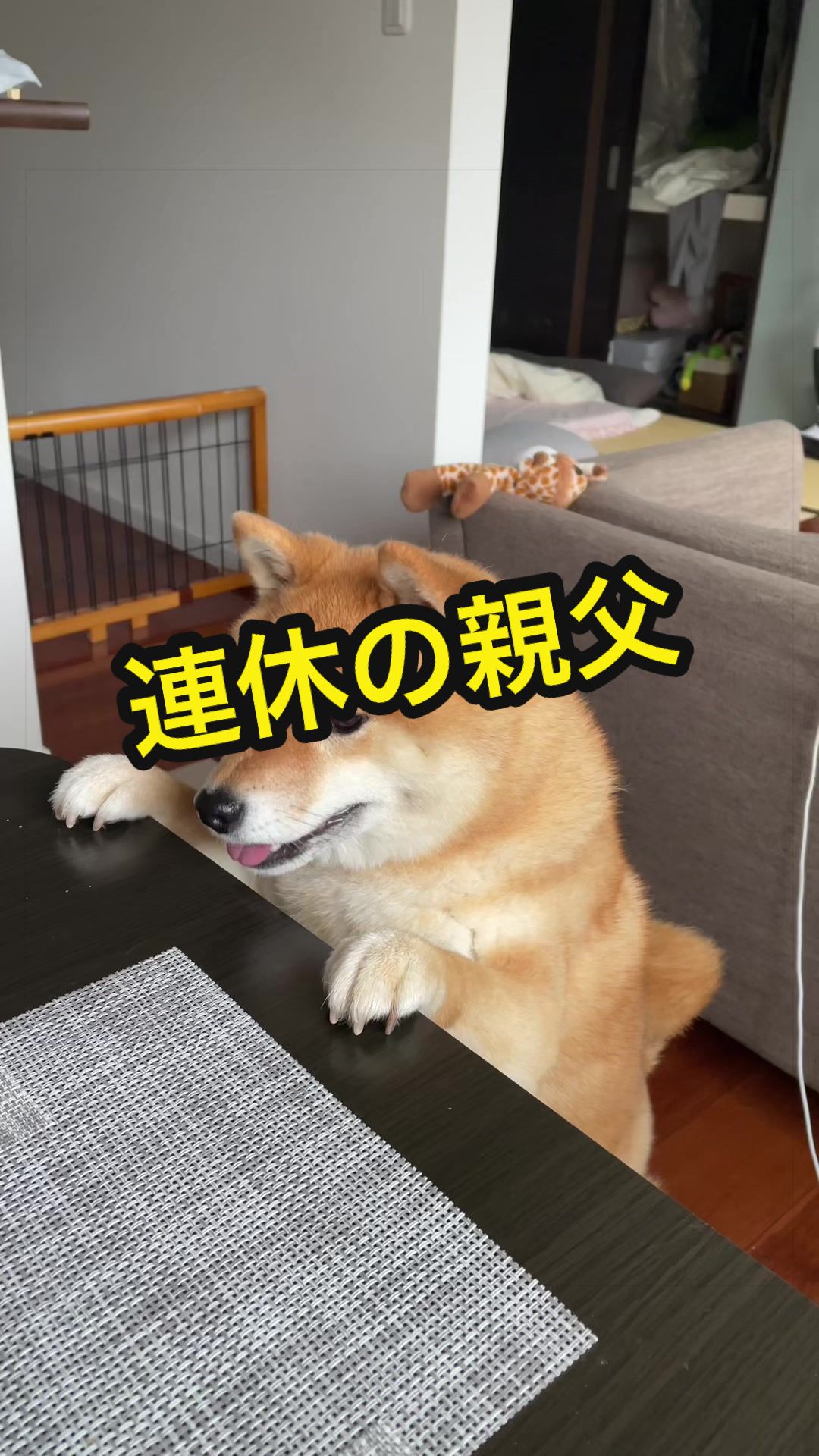 @特に柴犬が好きな人