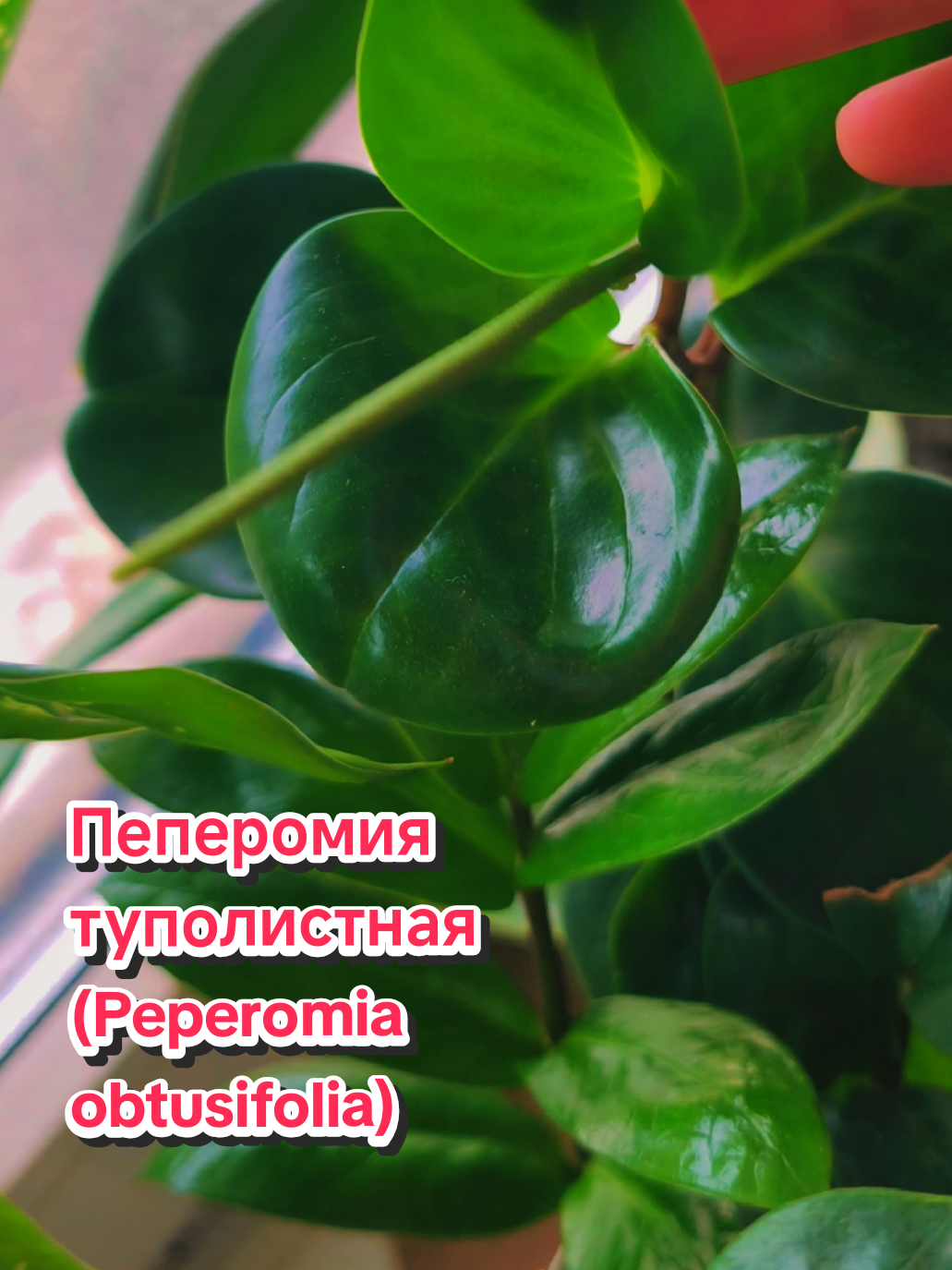 @kri_ma_photo