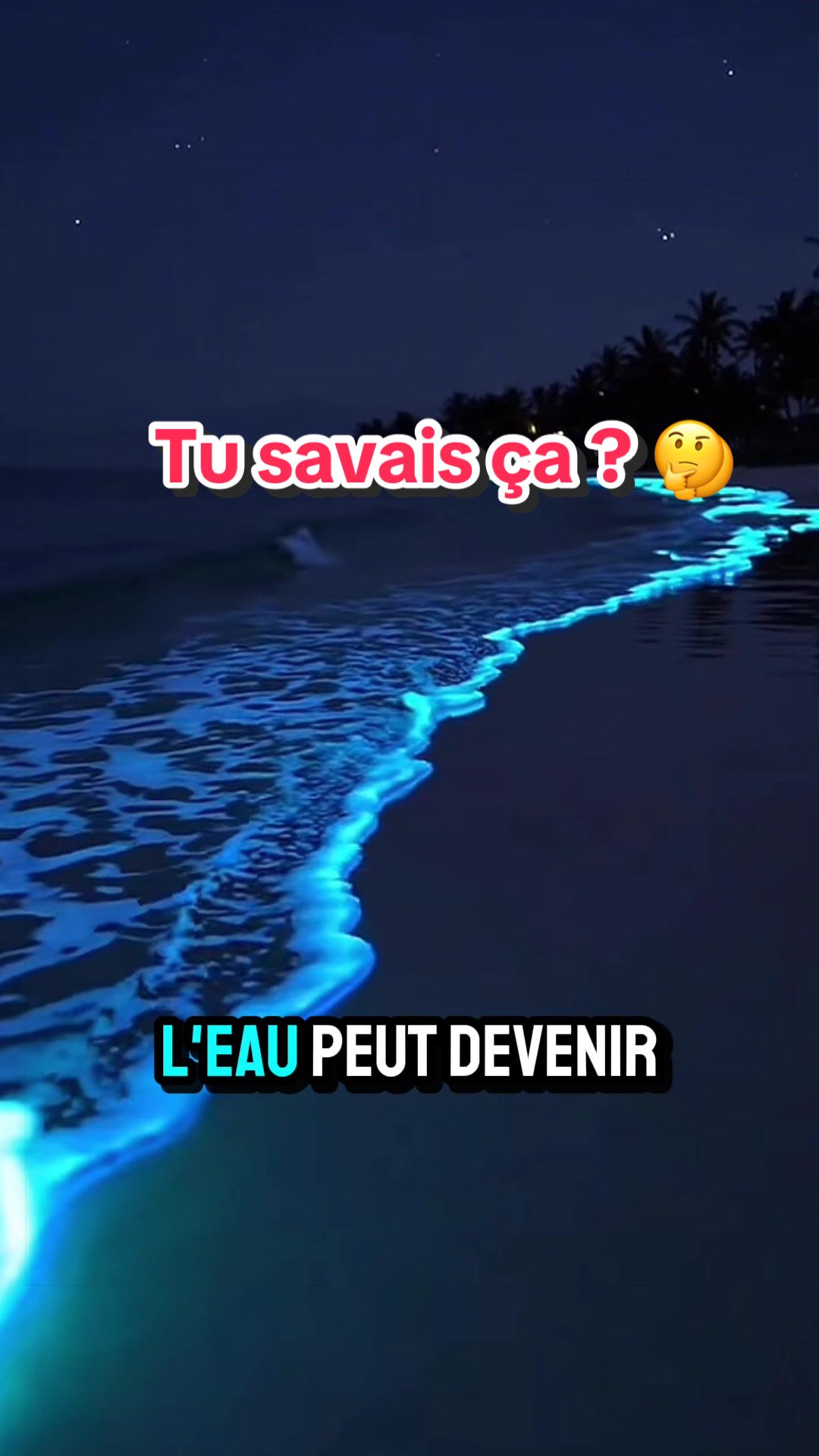 @xamanexperience