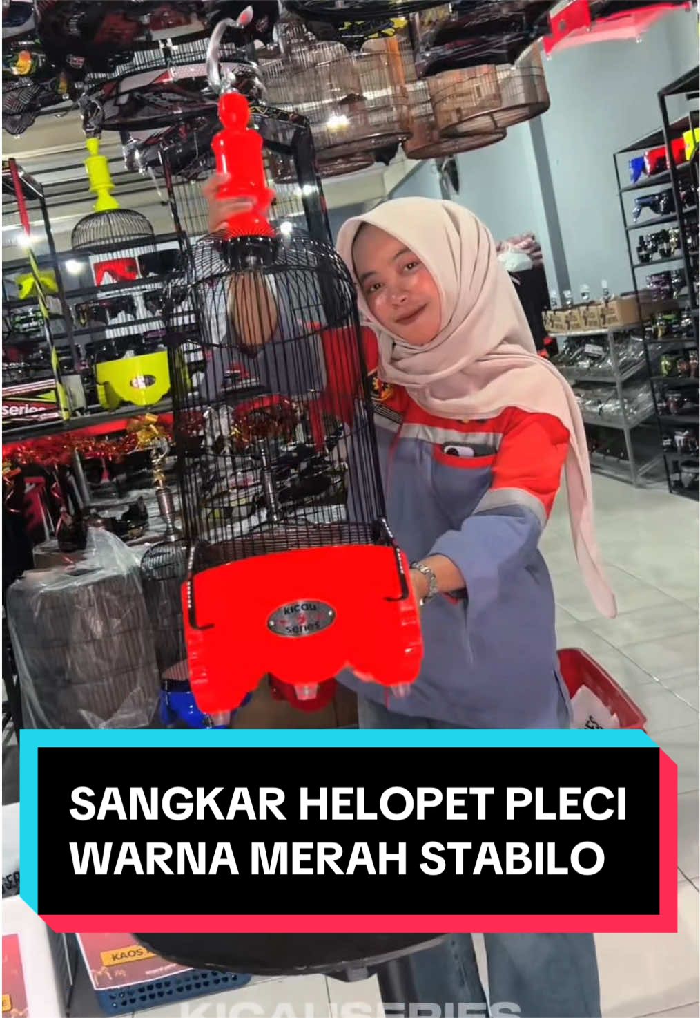@kicauseries