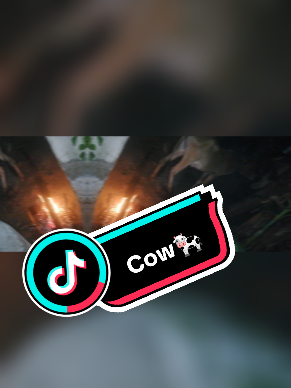 @Åkků_Çřůśh🌈🌴🇦🇺🌴