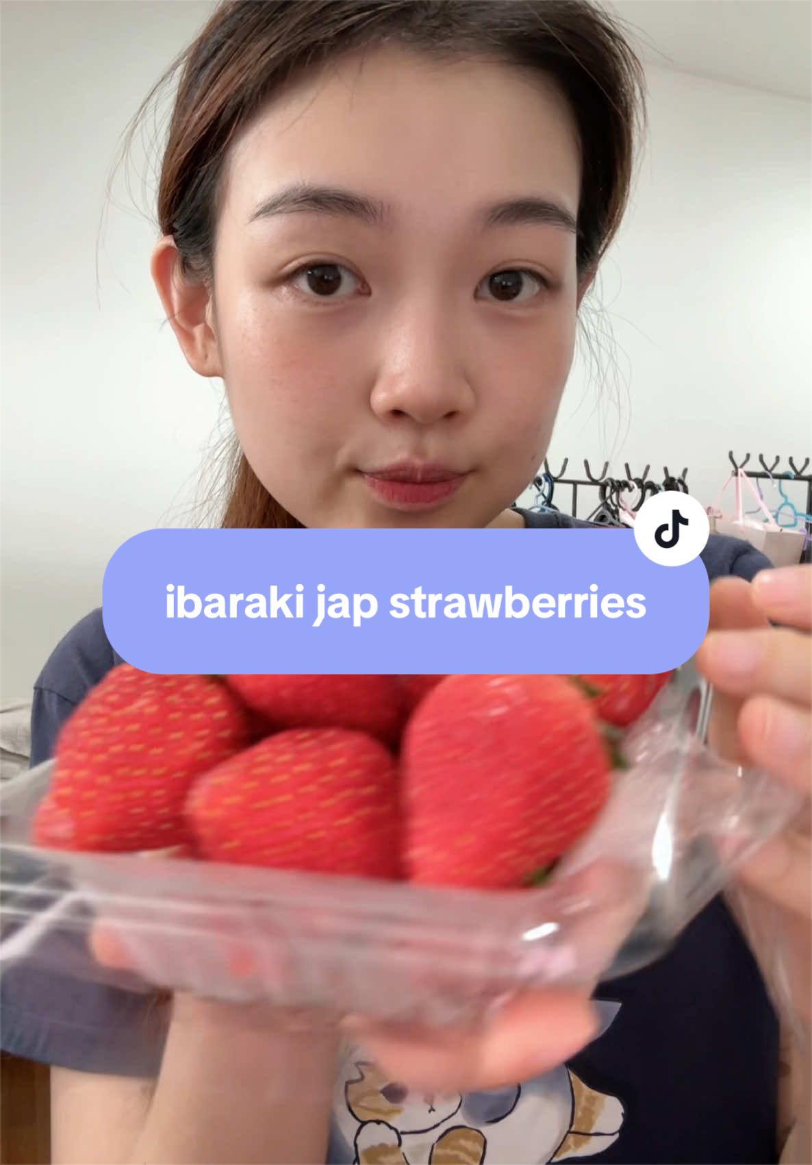 @gracetjq