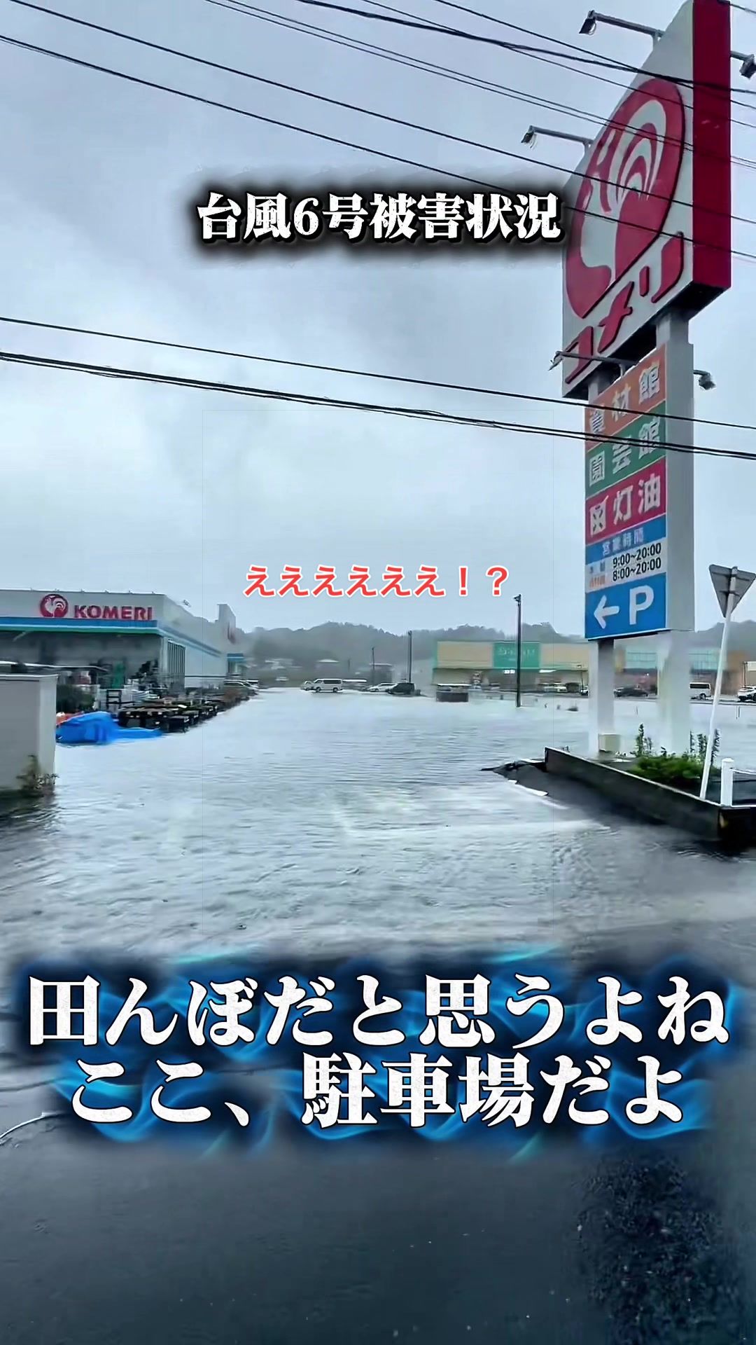 @春活channel