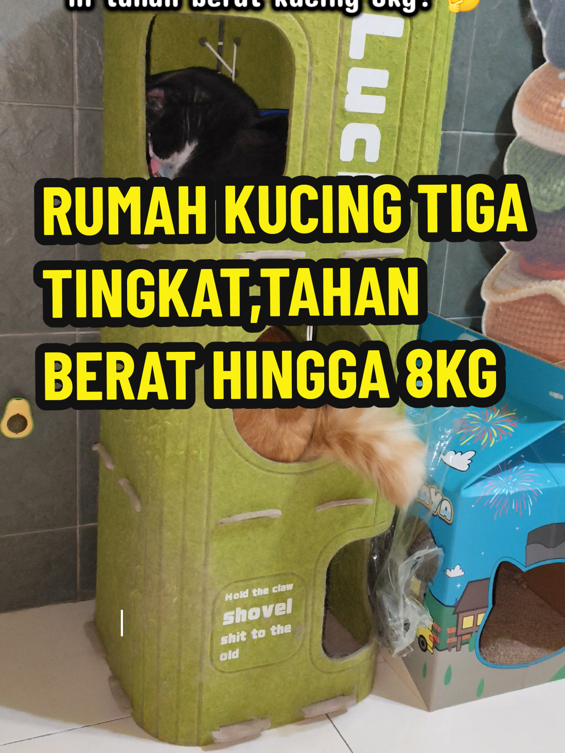 @Omma Kucing 🇲🇾🍉