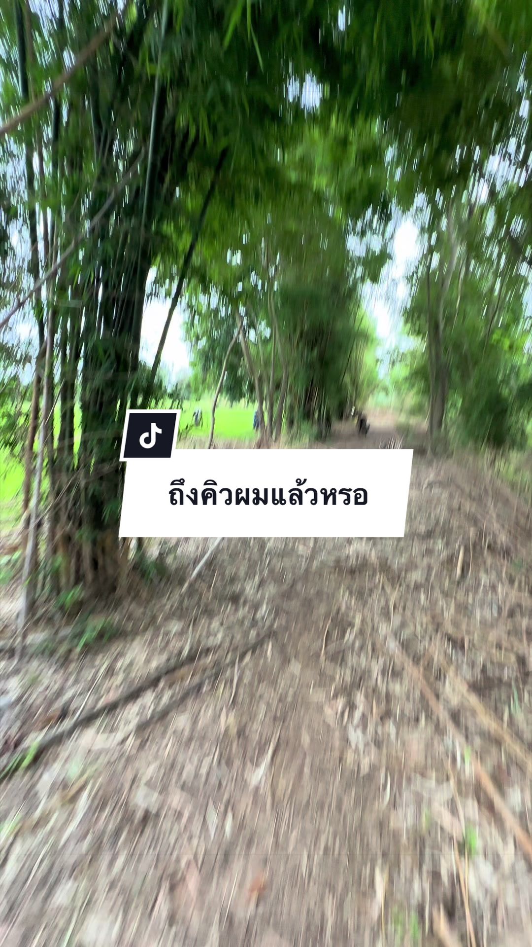 @อาเฮียหลี อาหลีเฮีย