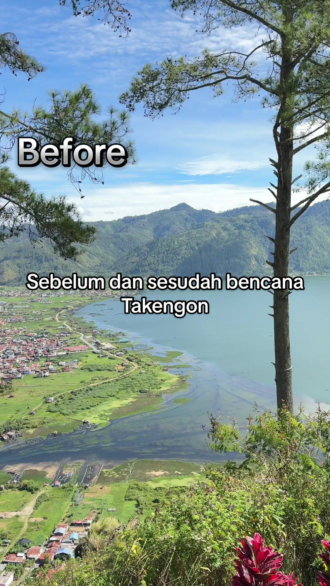 @alpin_pohan