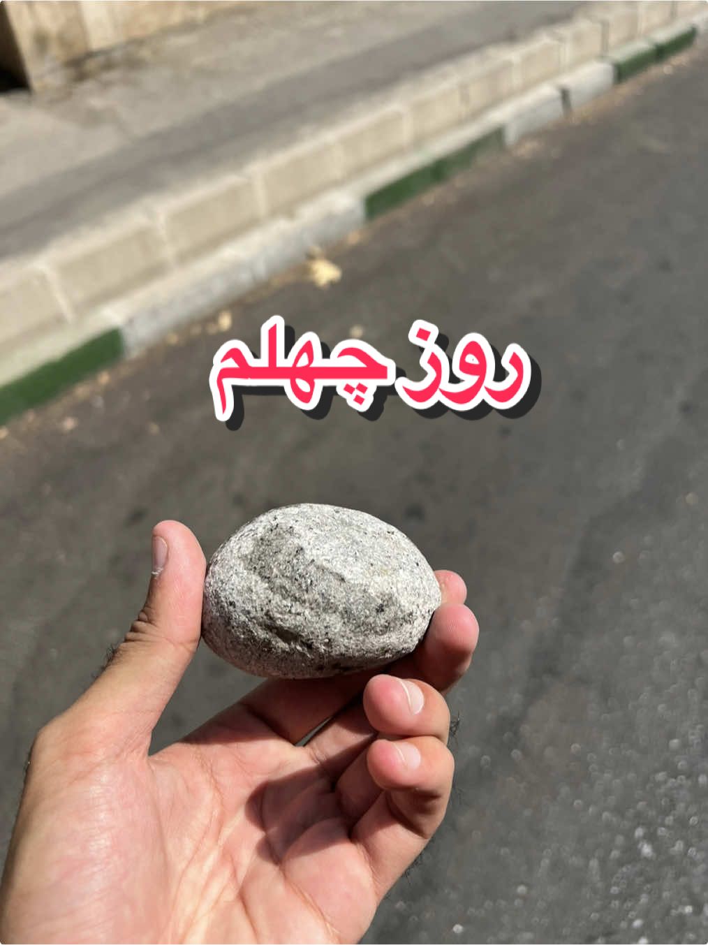 @قلی | یه حیوون خونگی متفاوت