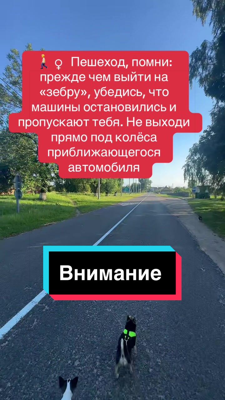 @Елена🇧🇾 Беларусь 🌺