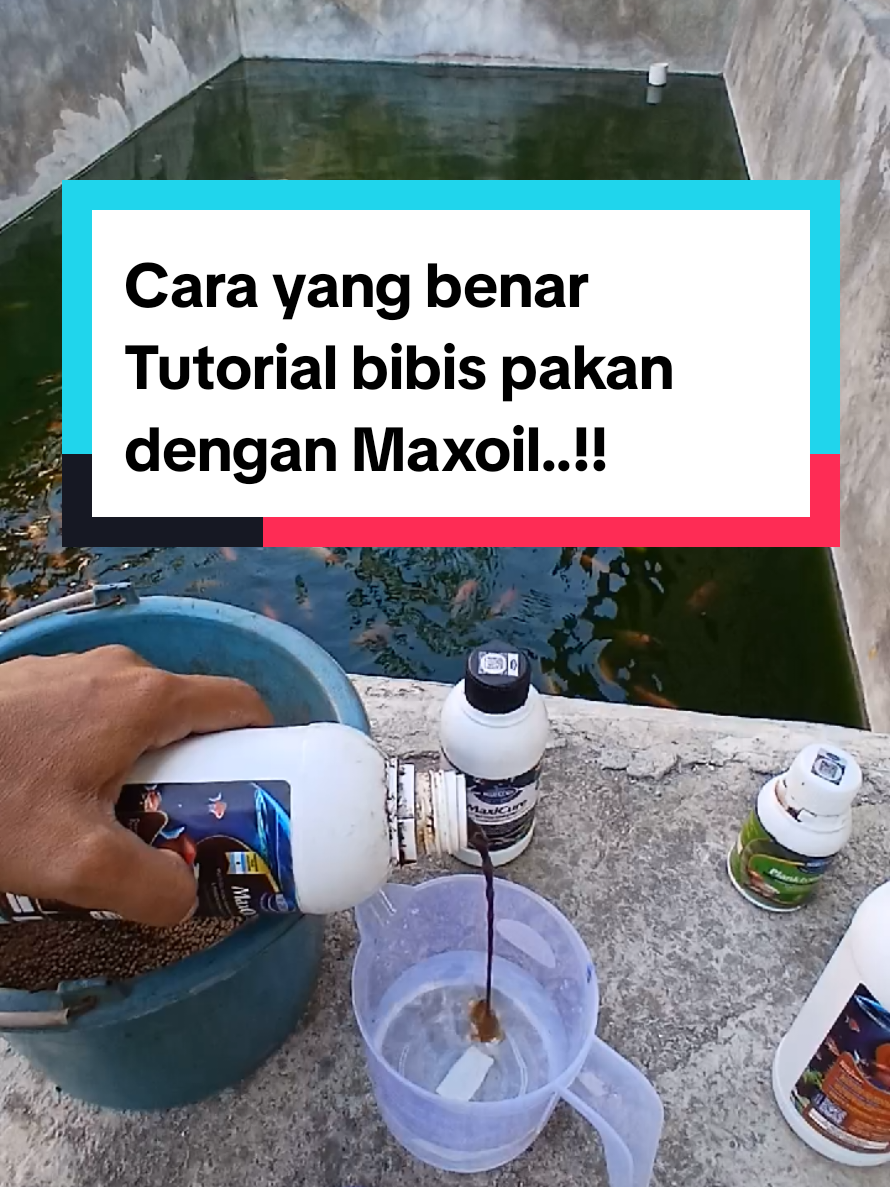 @Kang_Ewi