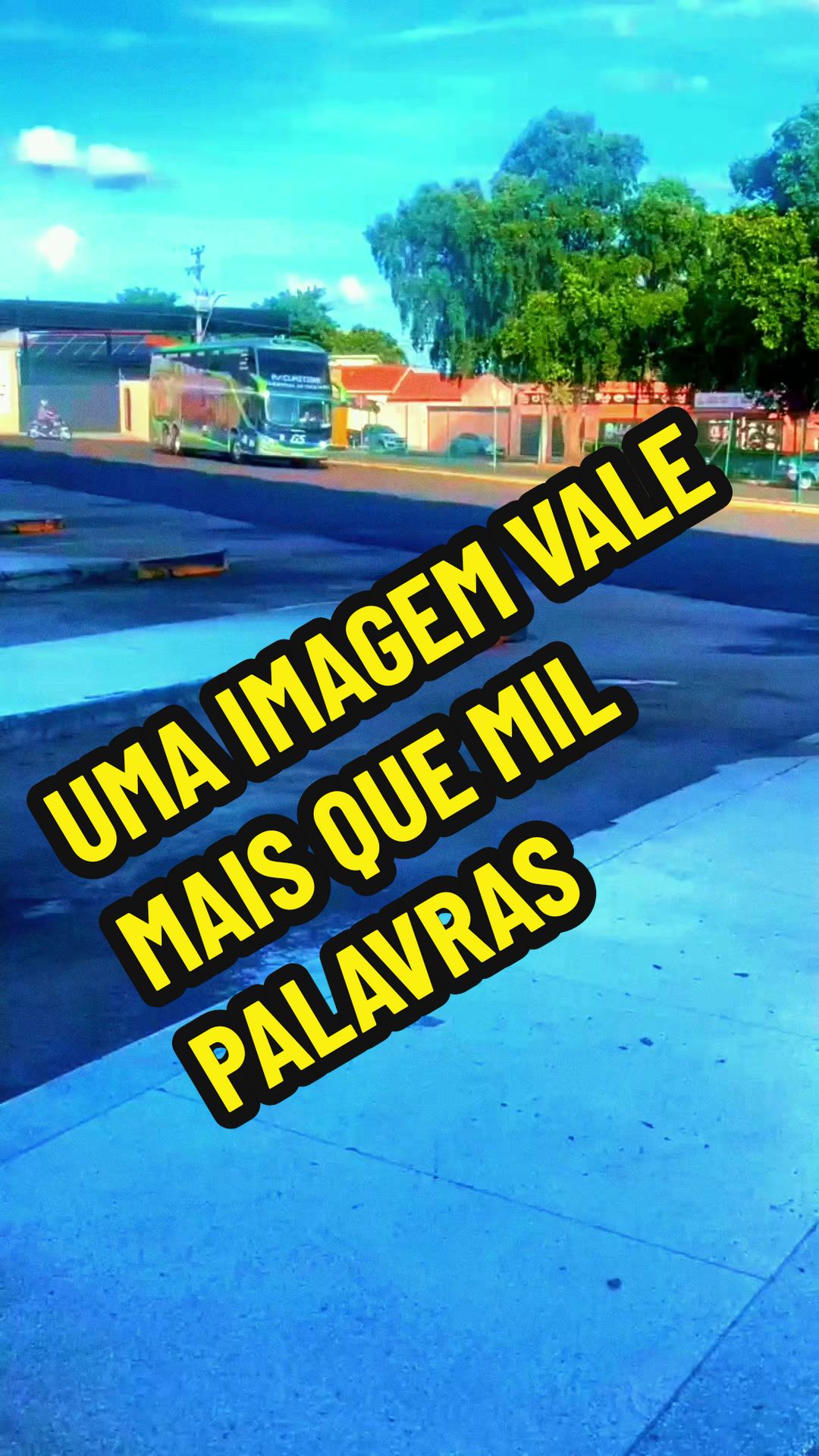 @alexbus.oficial