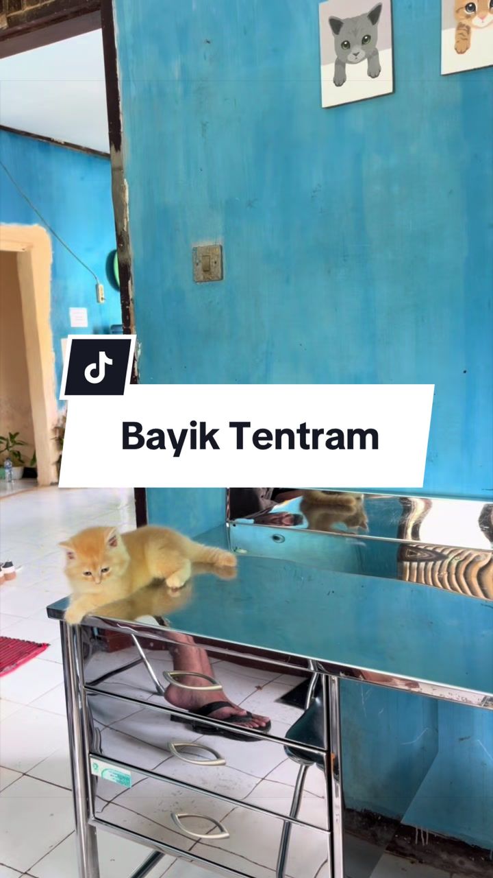 @drh.AdeFani