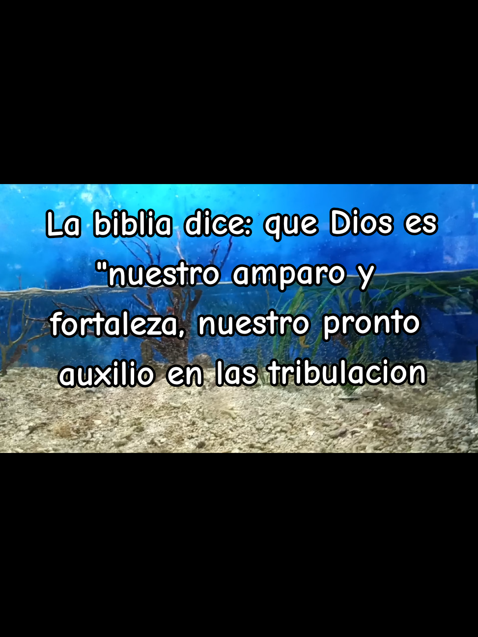 @Jenniiy Castillo