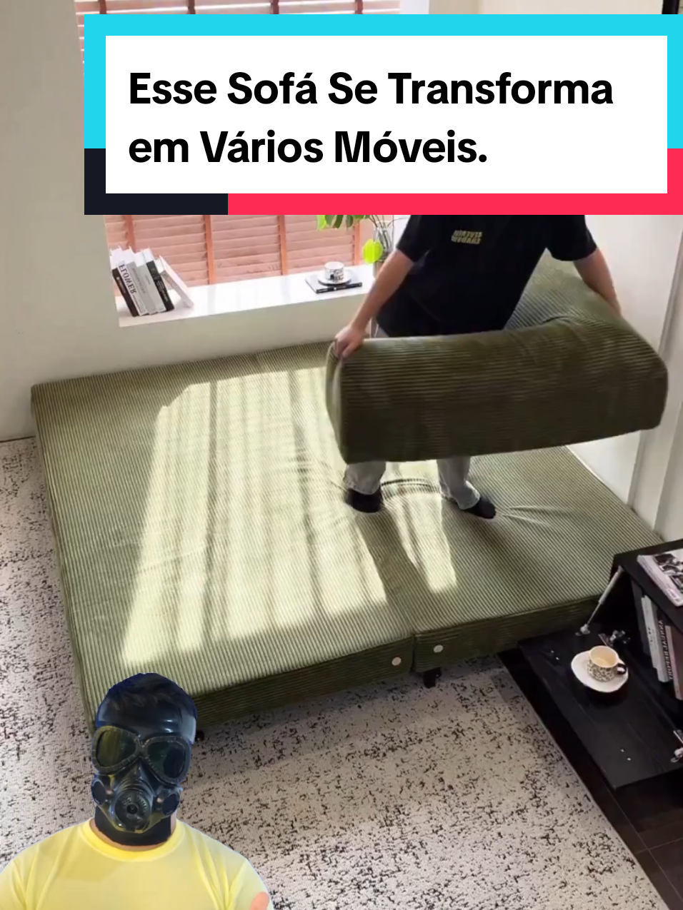 @Mundo da Curiosidades
