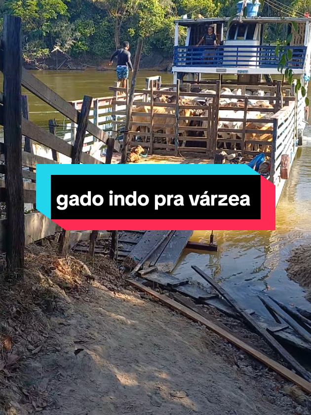 @menina do interior