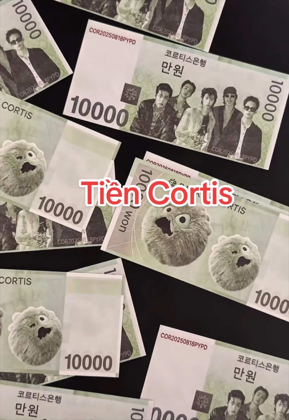 @Con Cá Ú