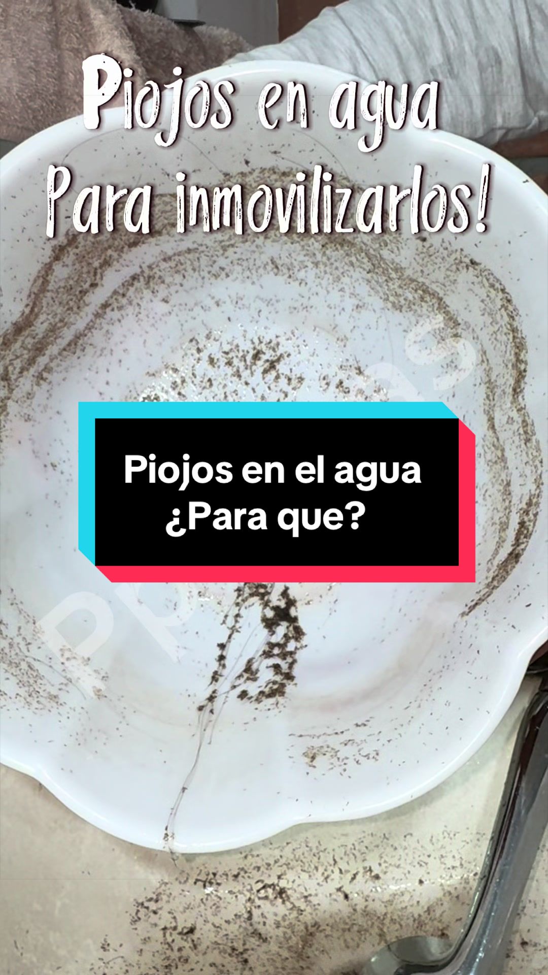@Pppicas