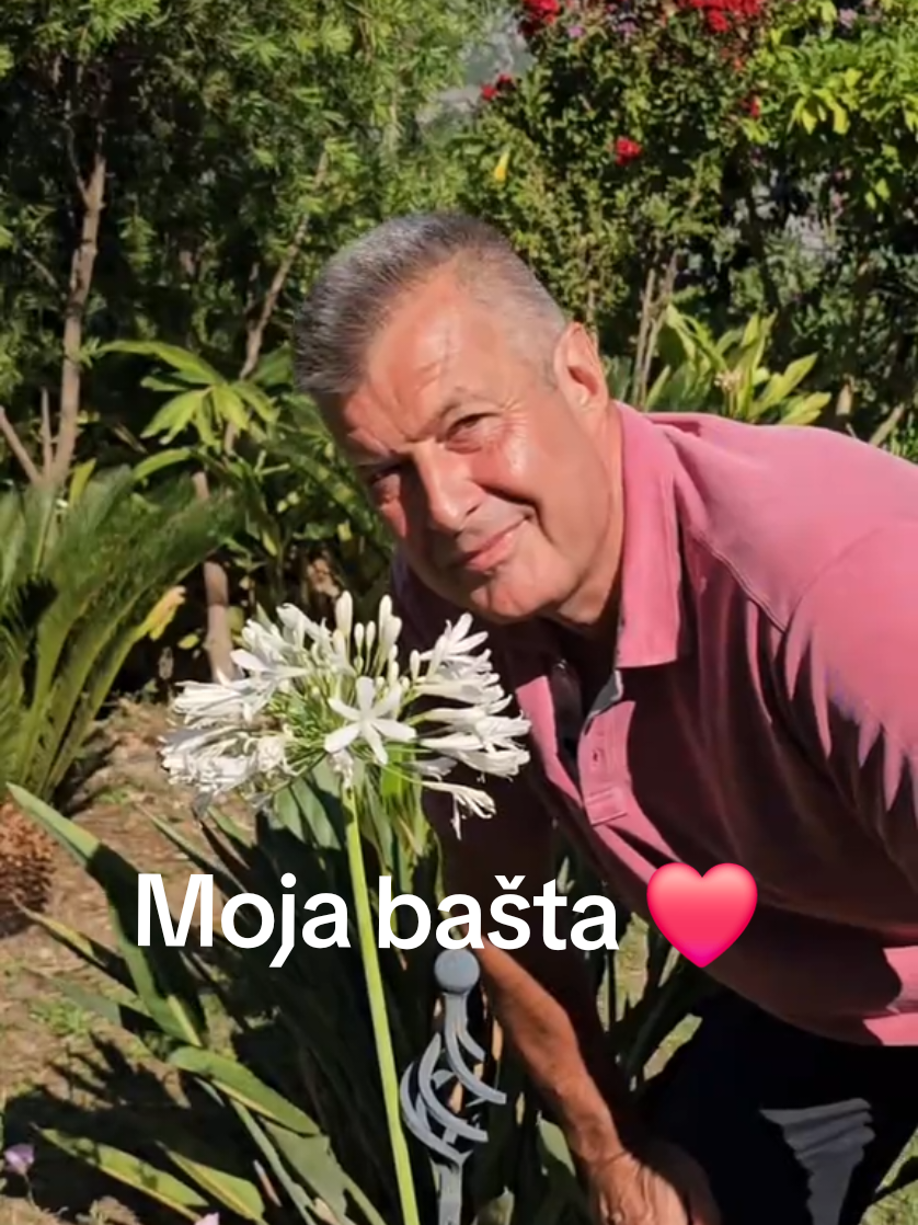 @Dejan Dragićević