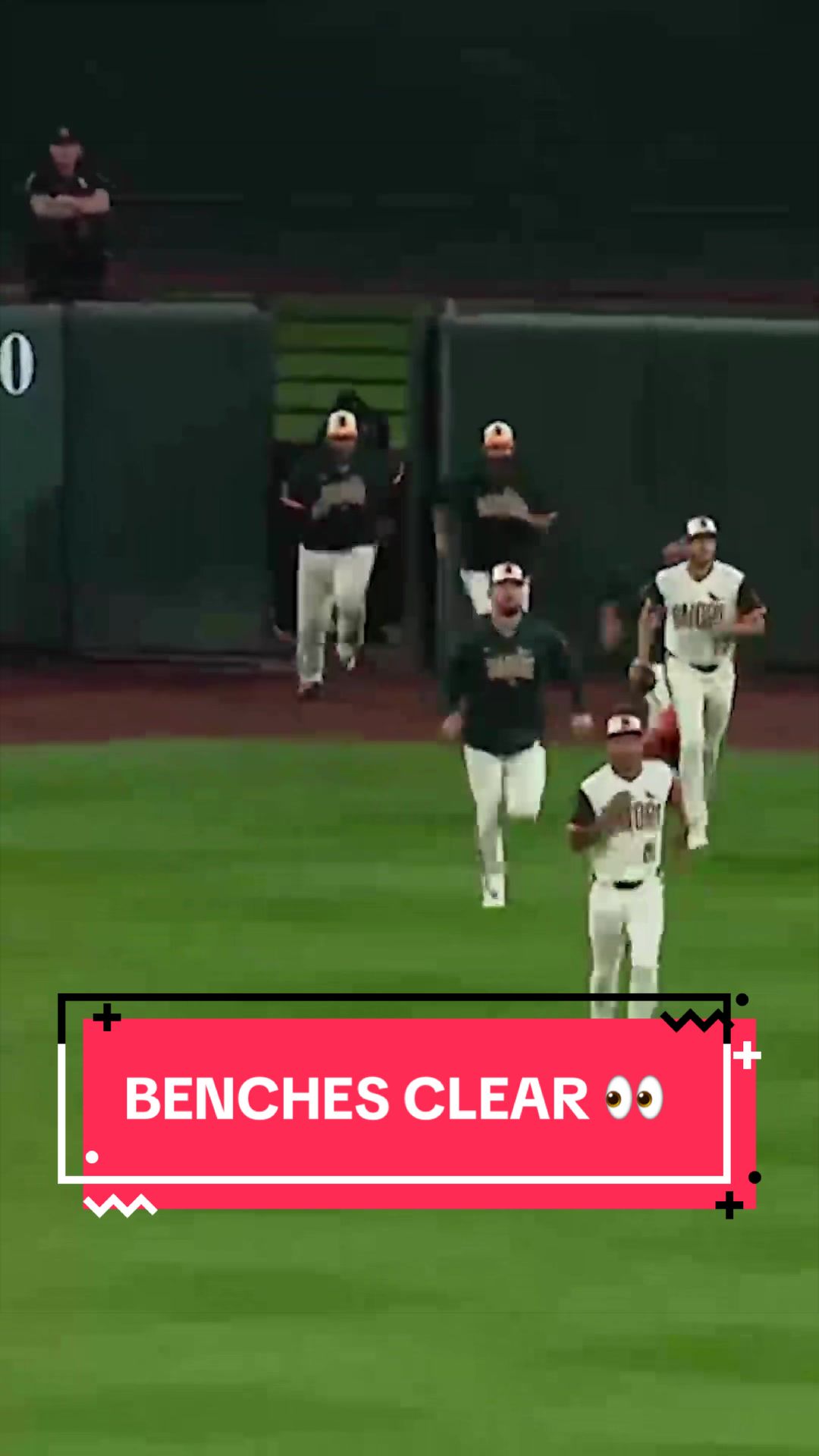@TSN