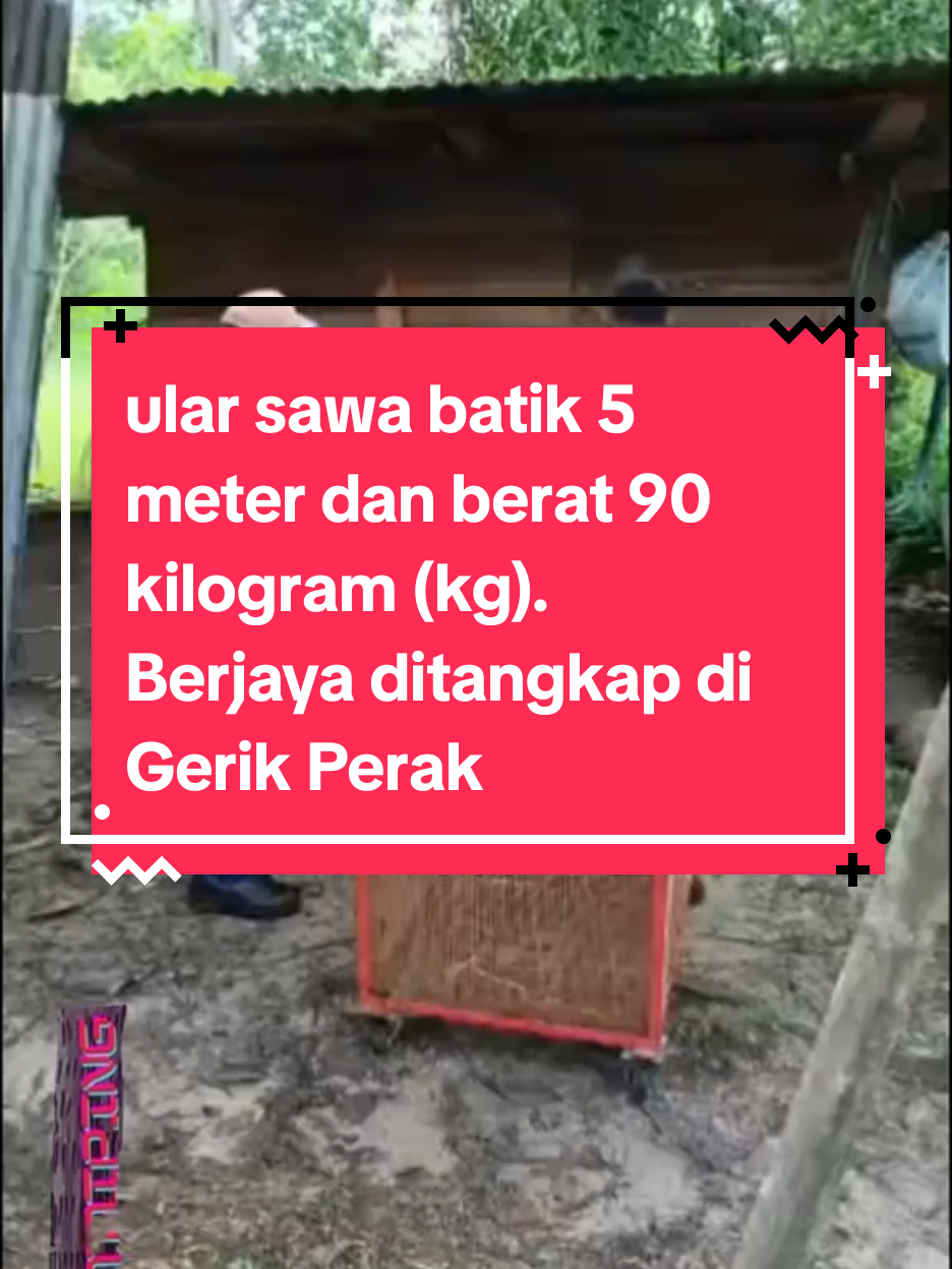 @HotDTaipinghdt