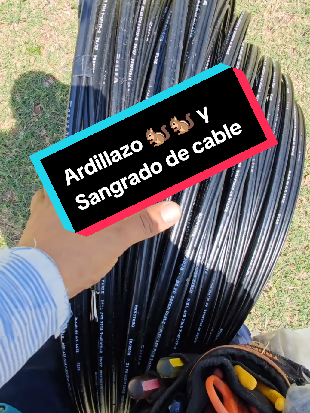 @Daniel Lugo