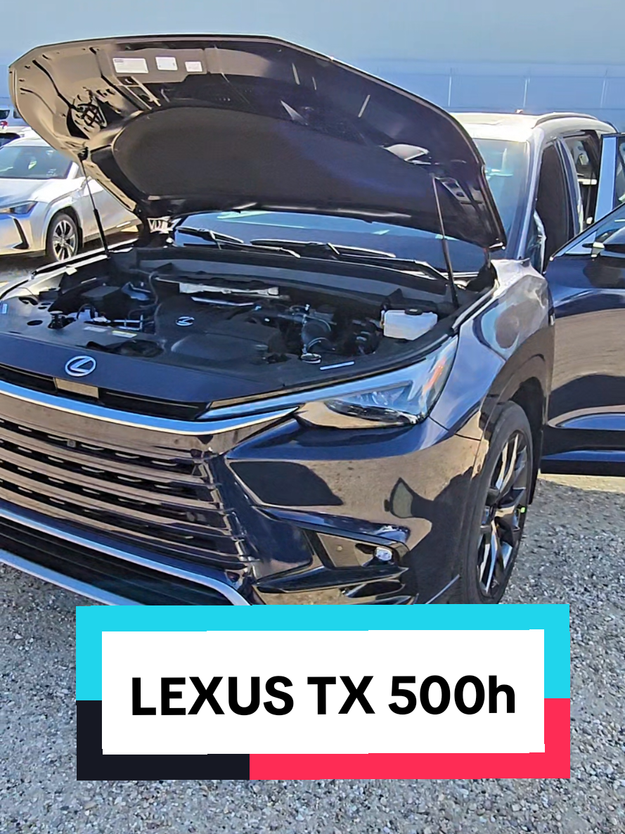 @thelexuswoman