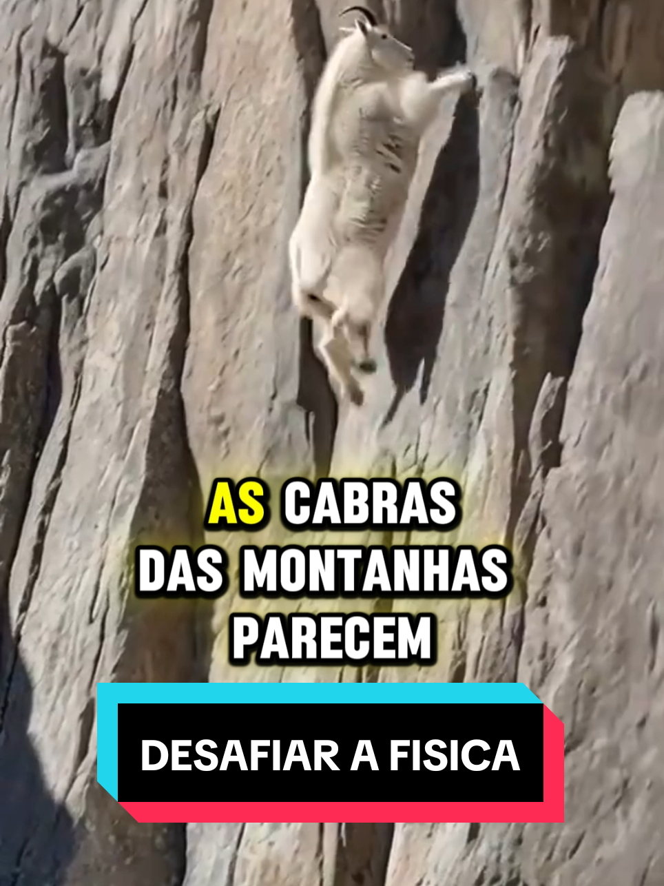 @curiosidadesemistério