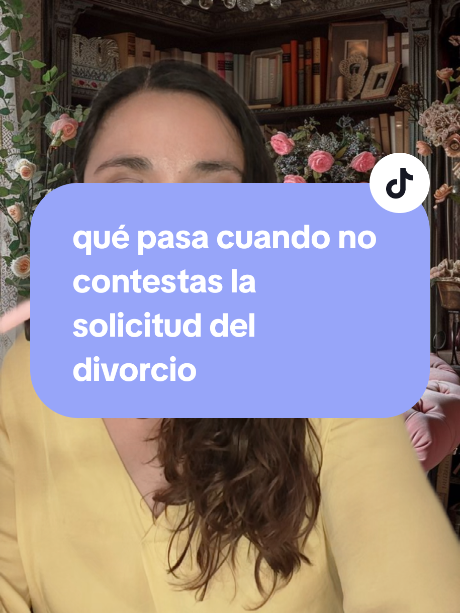 @organizatudivorcio