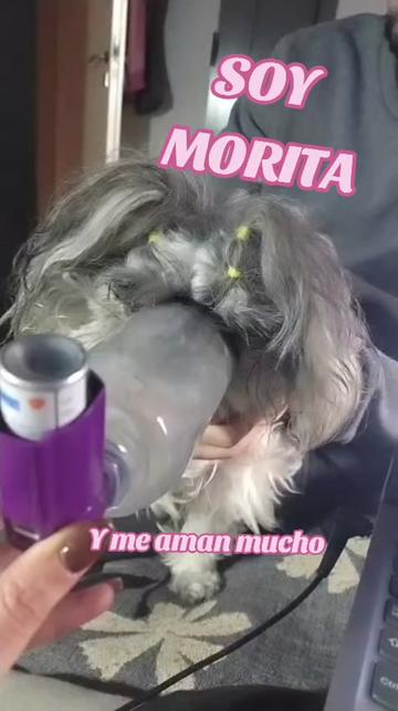 @🇦🇷TupperPatricia
