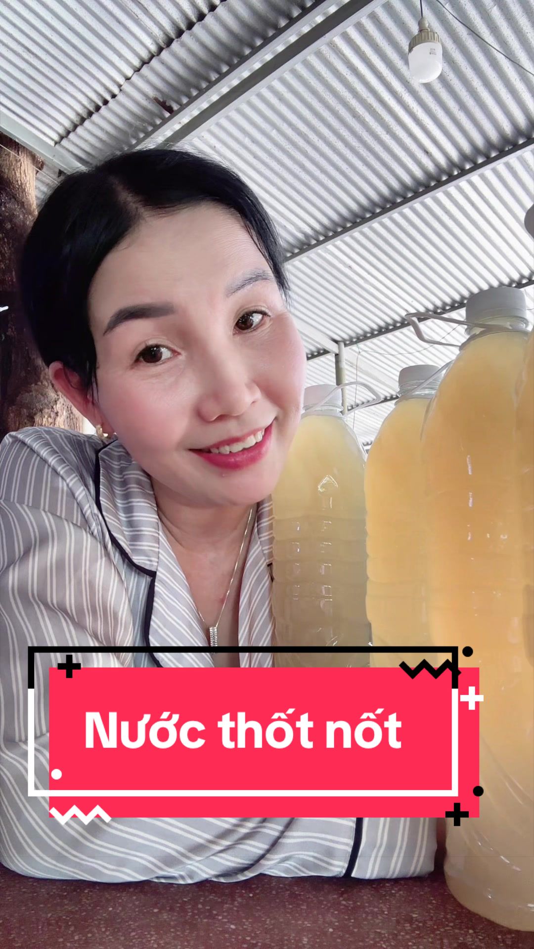 @Thốt nốt trà my