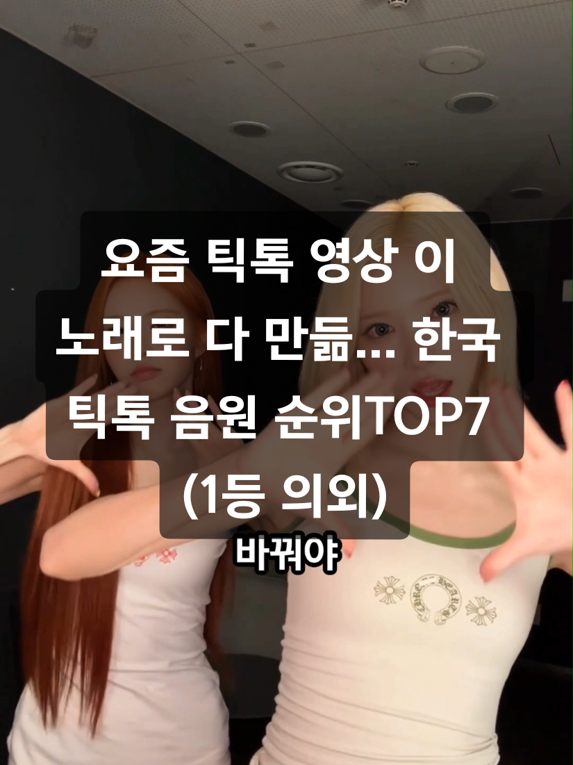 @틱톡맨