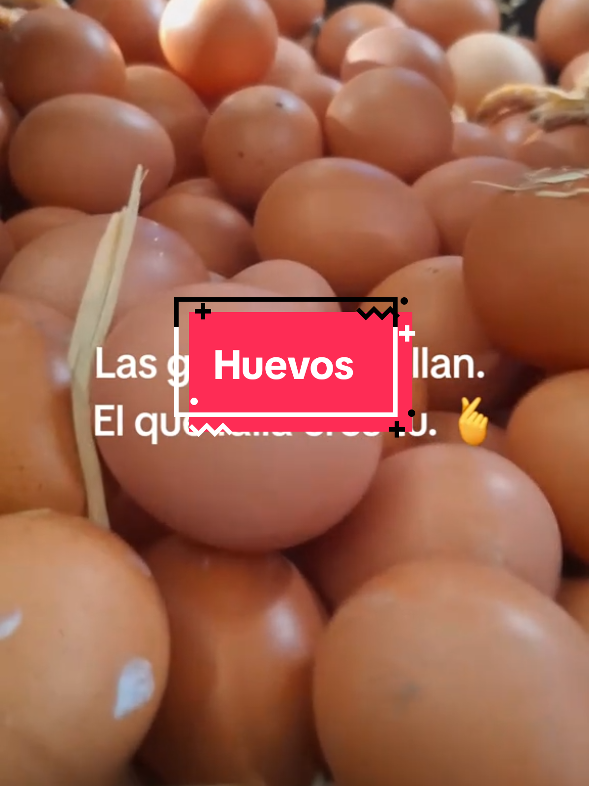 @El Gallinero de Carlos