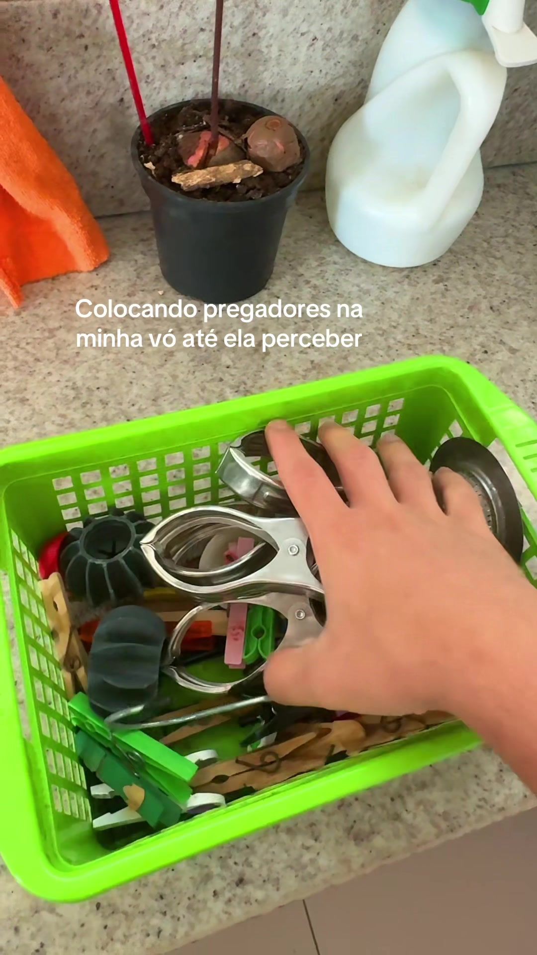@Davifranca