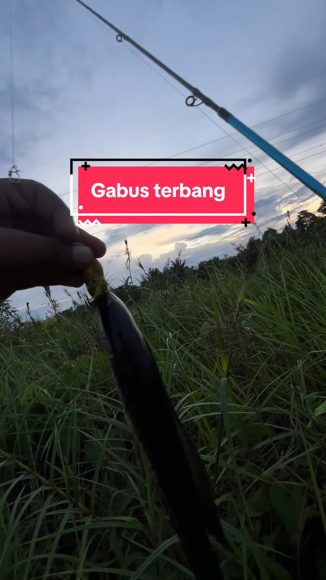 @Ragiljaya26