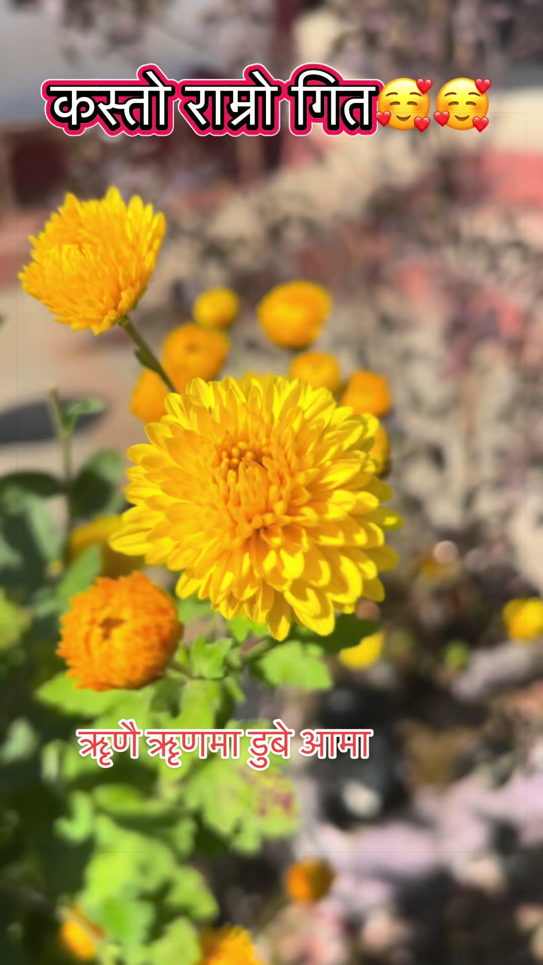 @@Susi