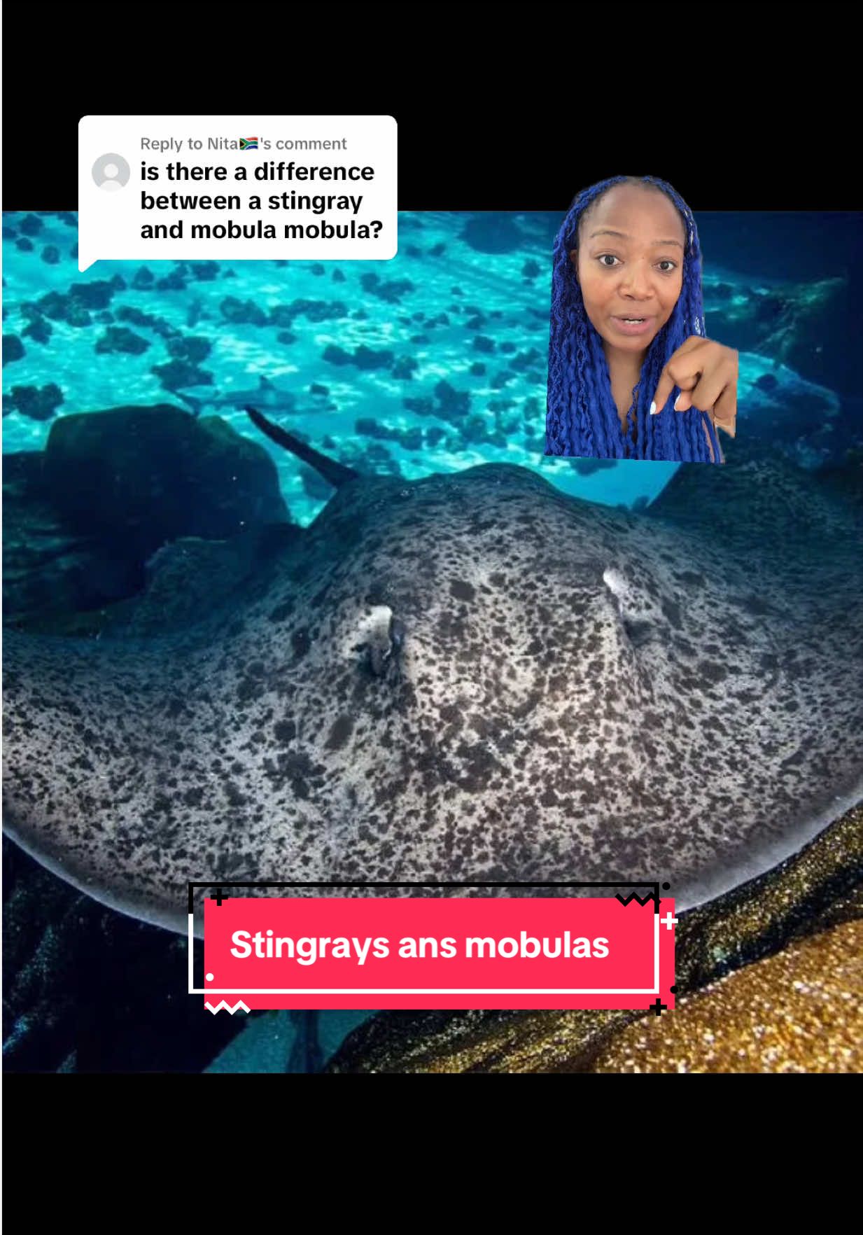 @The Black Mermaid