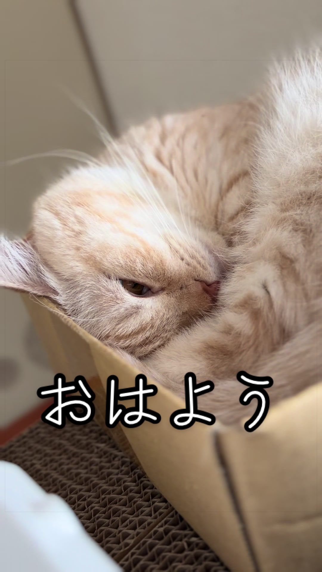 @縫くんと私