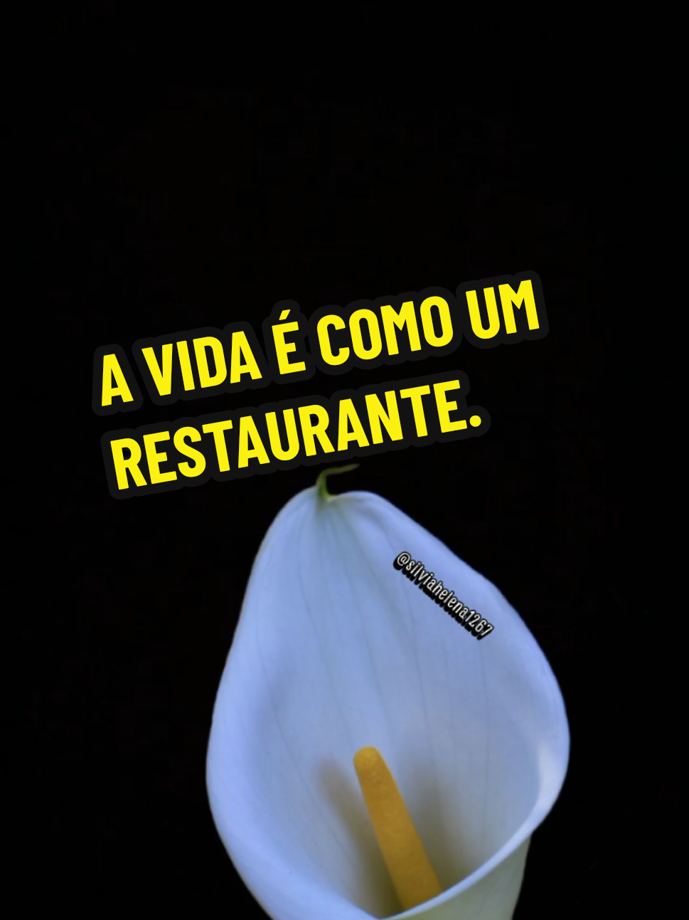 @Silvia Helena.