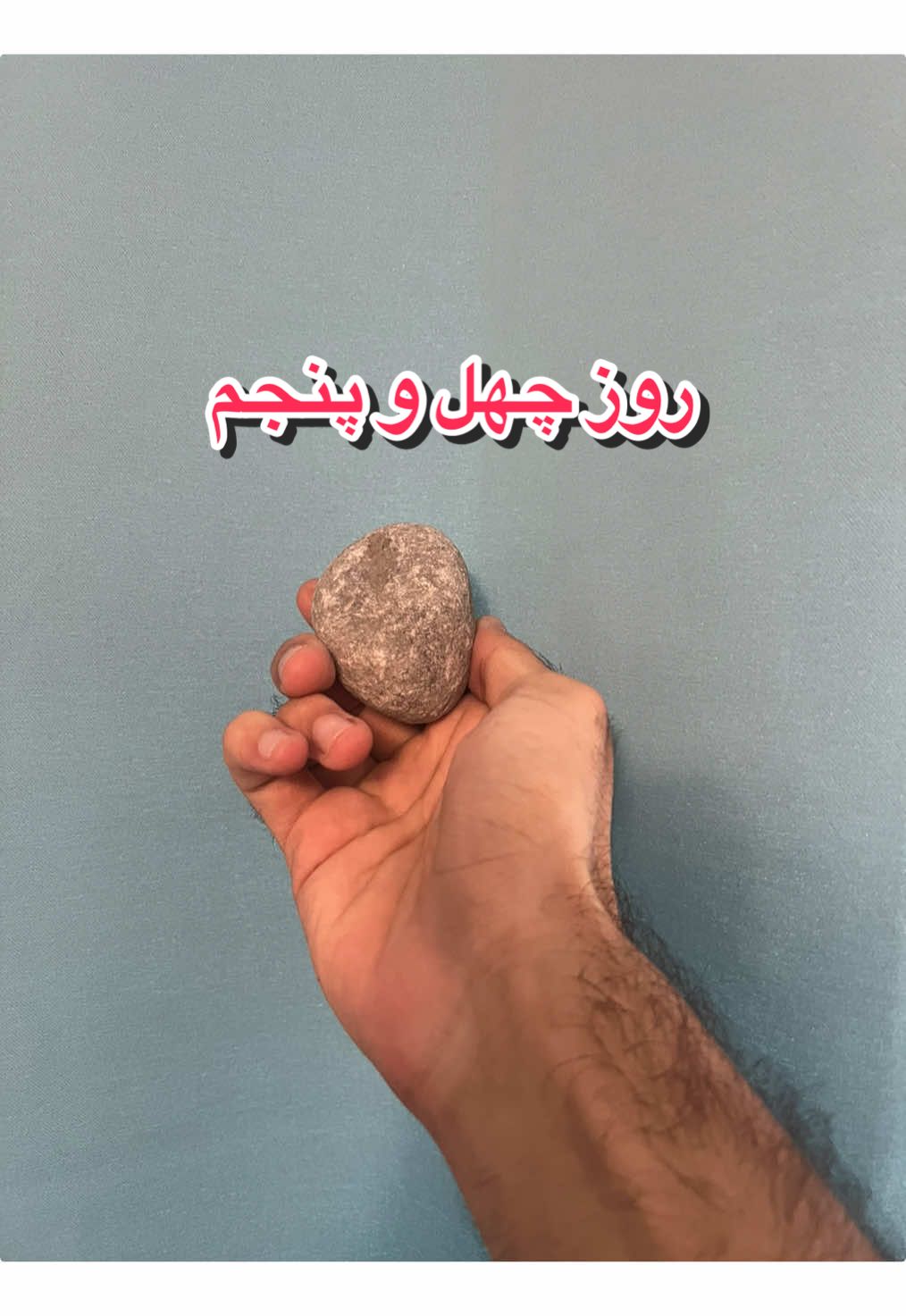 @قلی | یه حیوون خونگی متفاوت