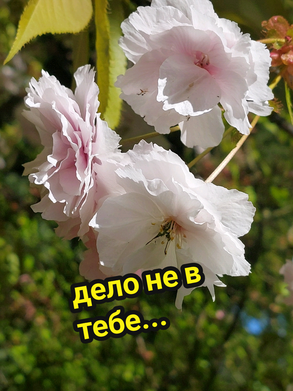 @Рыся✔️🇧🇾